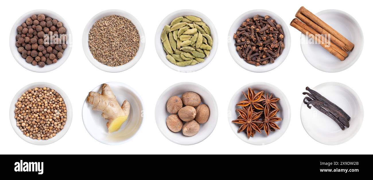 Épices et senteurs de la saison de Noël dans des bols blancs. Piment, anis, cardamome, clous de girofle, cannelle, coriandre, gingembre, muscade, anis étoilé et vanille. Banque D'Images