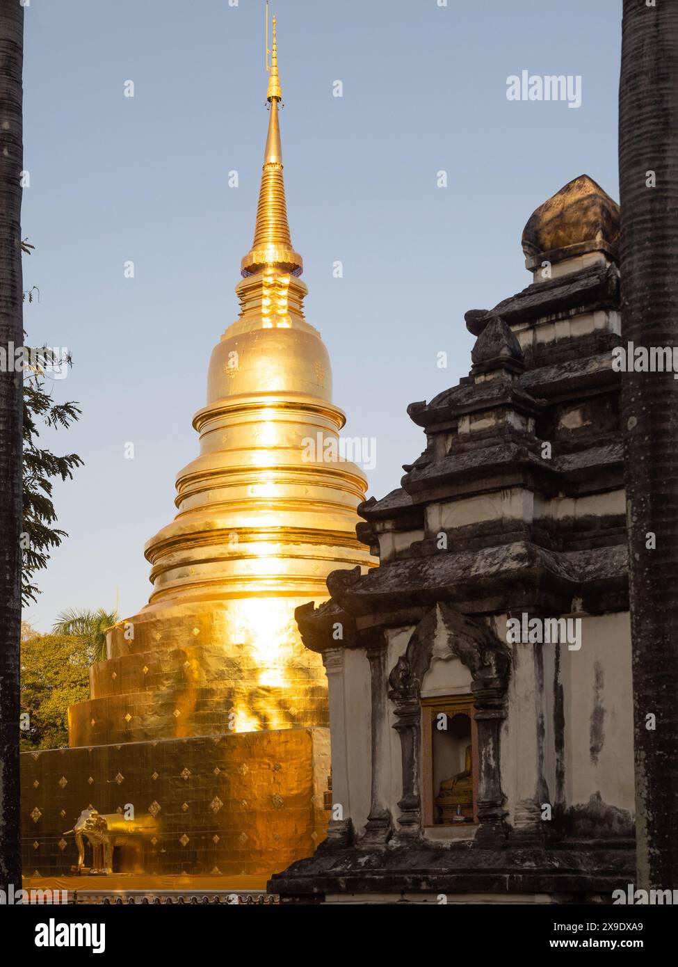 Chiang mai, Thaïlande. 10 JANVIER 2023 : Wat Phra Singh ou Was Phra Sing, temple le plus important dans le centre de la vieille ville de Chiang mai. Lieu de Phra Singh Banque D'Images