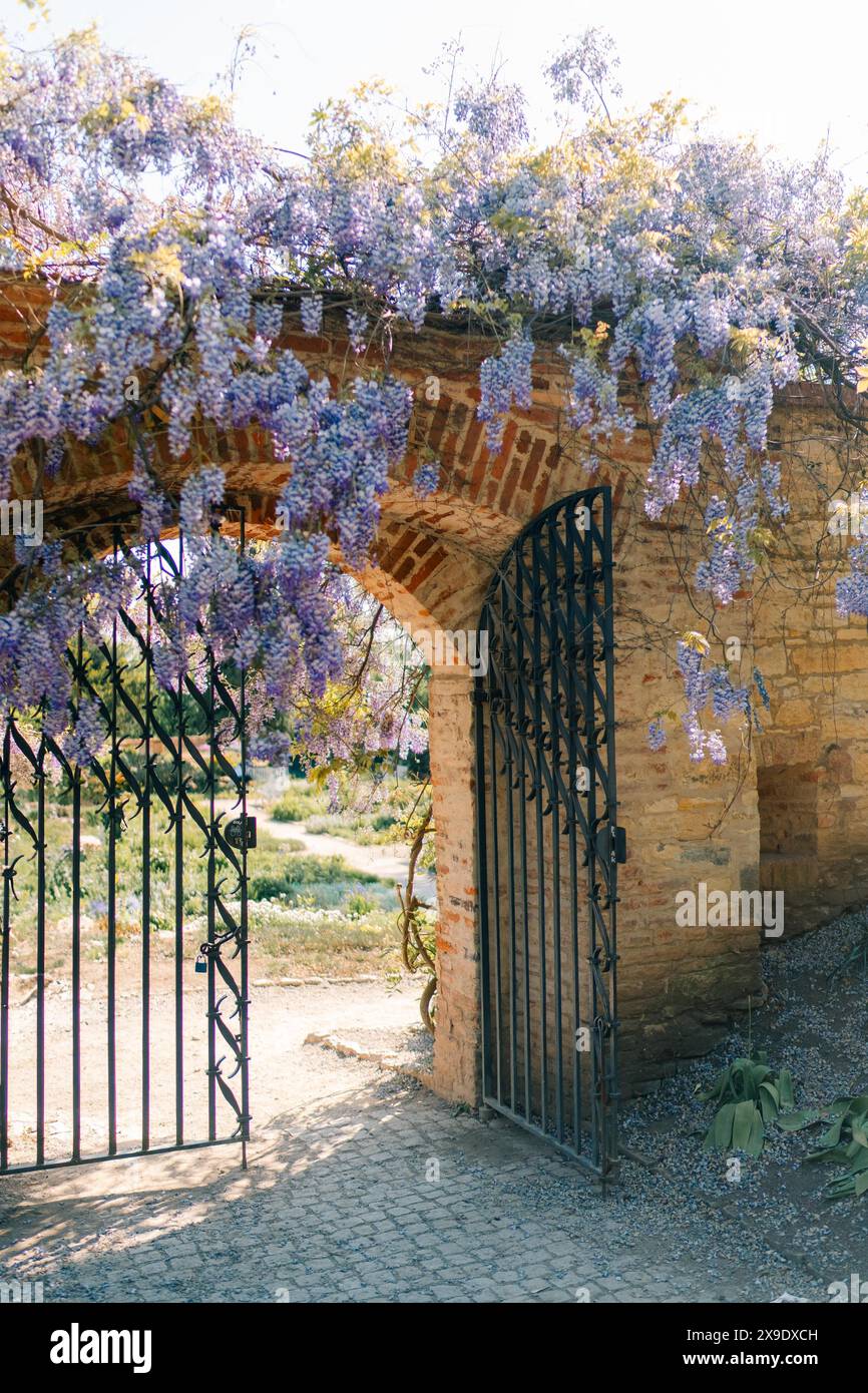 Entrée dans un parc de Prague avec une wisteria autour du mur Banque D'Images