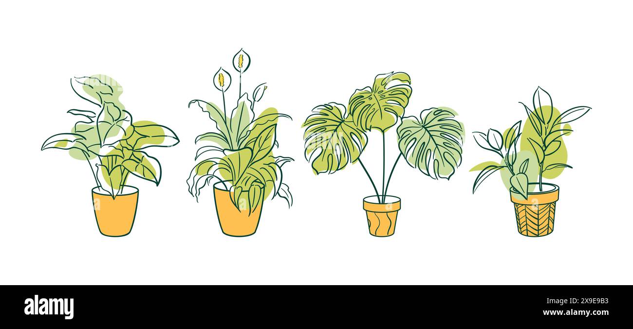 Mettez la plante exotique dans un pot. Ficus, Syngonium, Monstera, Spathiphyllum. Floriculture à la maison, plantes d'intérieur, passe-temps. Illustrations Botanical Outline en main Illustration de Vecteur