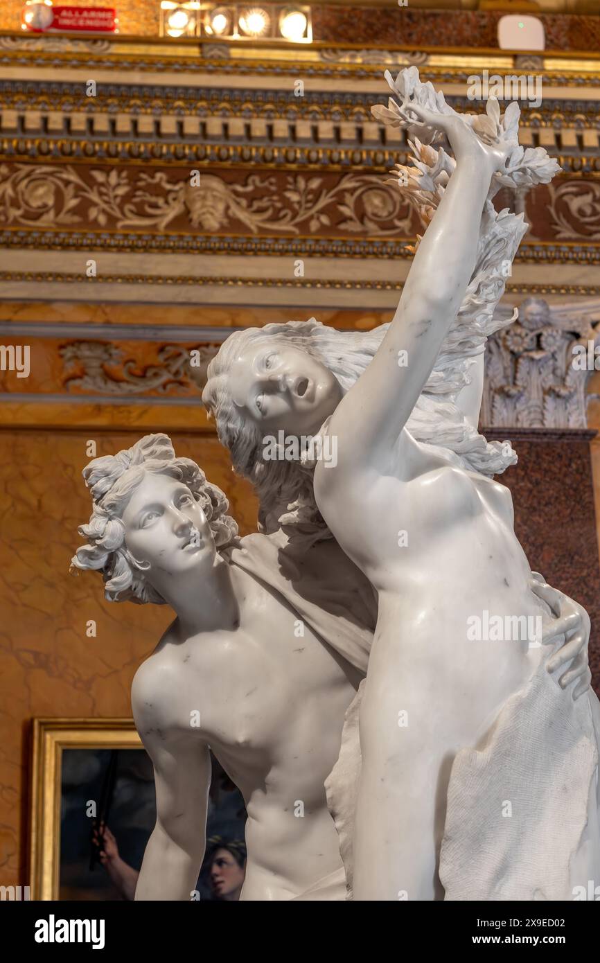 Apollon et Daphné, une sculpture en marbre grandeur nature de Gian Lorenzo Bernini, qui a été exécutée entre 1622 et 1625, Galleria Borghese, Rome, Italie Banque D'Images