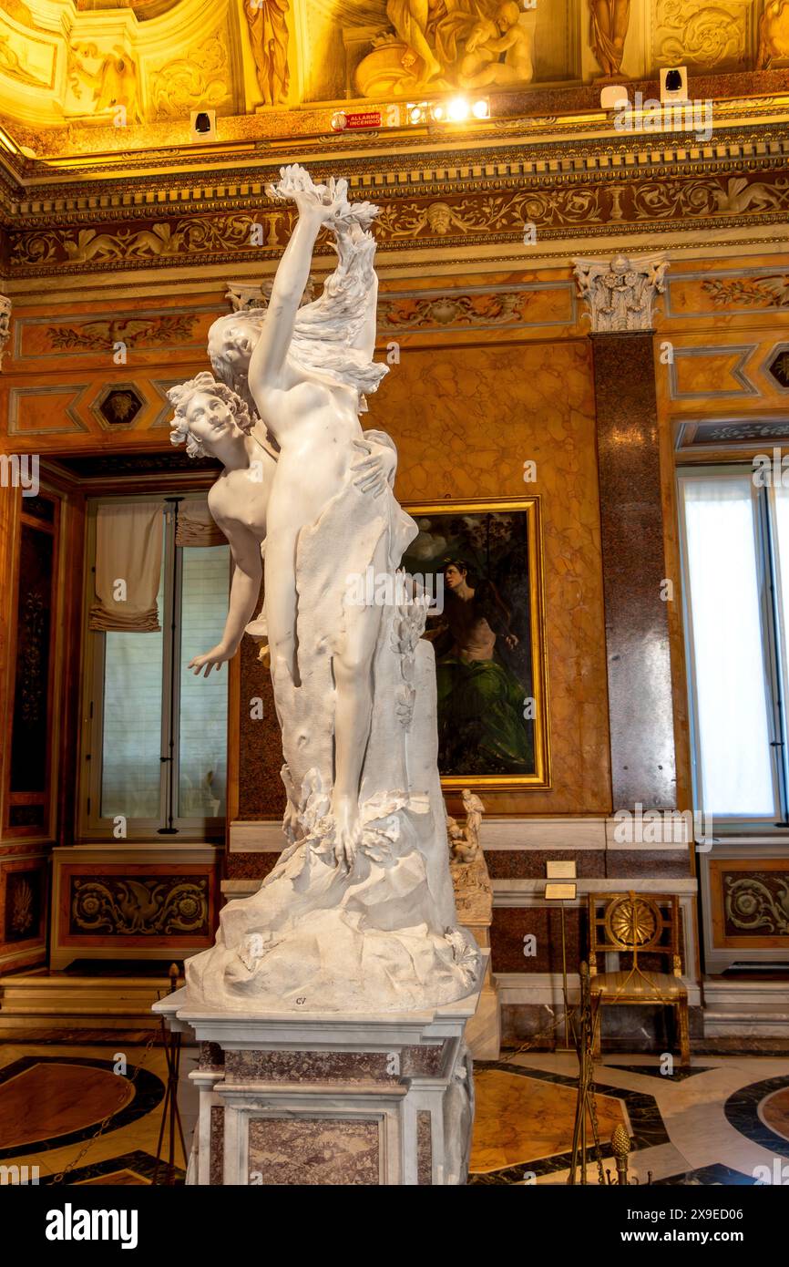 Apollon et Daphné, une sculpture en marbre grandeur nature de Gian Lorenzo Bernini, qui a été exécutée entre 1622 et 1625, Galleria Borghese, Rome, Italie Banque D'Images Apollon et Daphné, une sculpture en marbre grandeur nature de Gian Lorenzo Bernini, qui a été exécutée entre 1622 et 1625, Galleria Borghese, Rome, Italie Banque D'Images