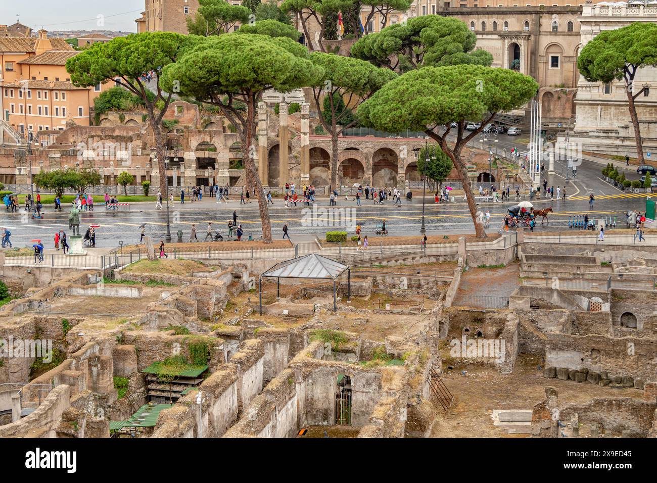 Pierre Pine le long de la via dei Fori Imperiali et le Forum romain vu du marché de Trajans, Rome, Italie Banque D'Images