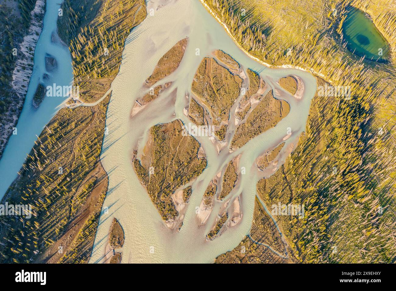 Vue de dessus drone vidéo d'une rivière sinueuse pendant une inondation. Forêt, rochers. Nordegg, Alberta, Canada. Banque D'Images