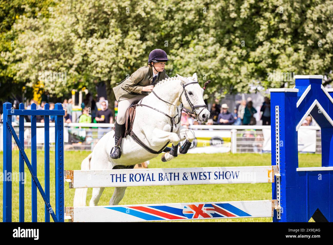 SHEPTON MALLET, SOMERSET, Royaume-Uni, 31 mai 2024, action de l'événement de saut d'obstacles de l'équipe montée Relay au Royal Bath and West Show. Crédit John Rose/Alamy Live News Banque D'Images