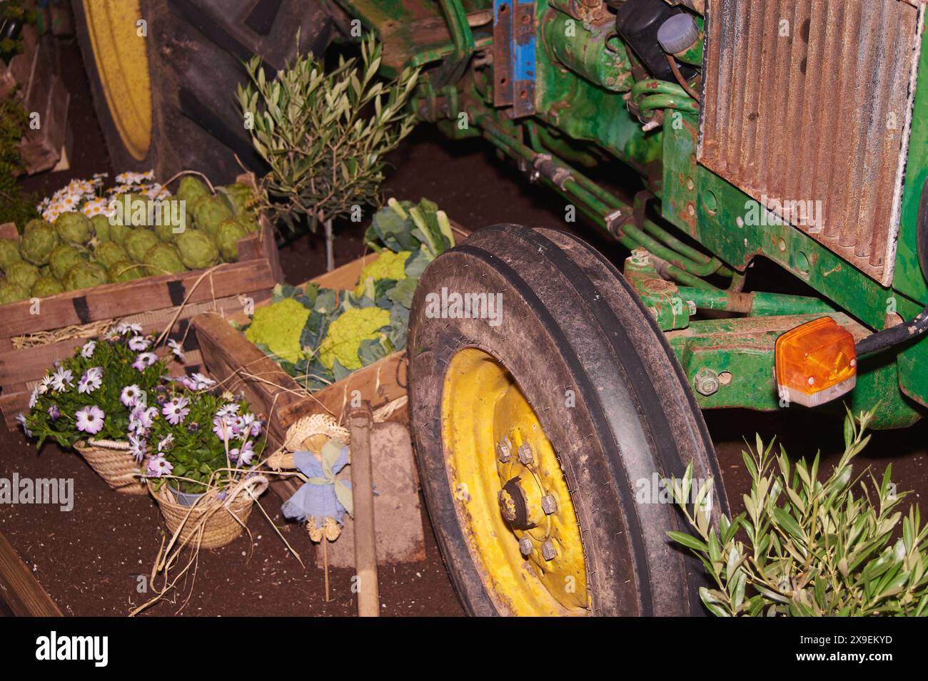 Image détaillée d'un tracteur vert vintage avec des roues jaunes entourées de branches d'oliviers et de marguerites blanches dans une caisse en bois. Parfait pour les thèmes de s. Banque D'Images