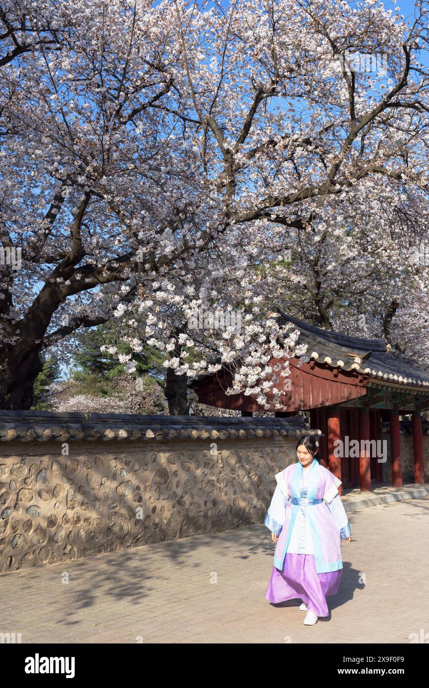 Femme vêtue d'une robe traditionnelle devant la tombe royale du roi Michu dans le complexe funéraire de Daereungwon (site du patrimoine mondial de l'UNESCO), Gyeongju, Corée du Sud Banque D'Images