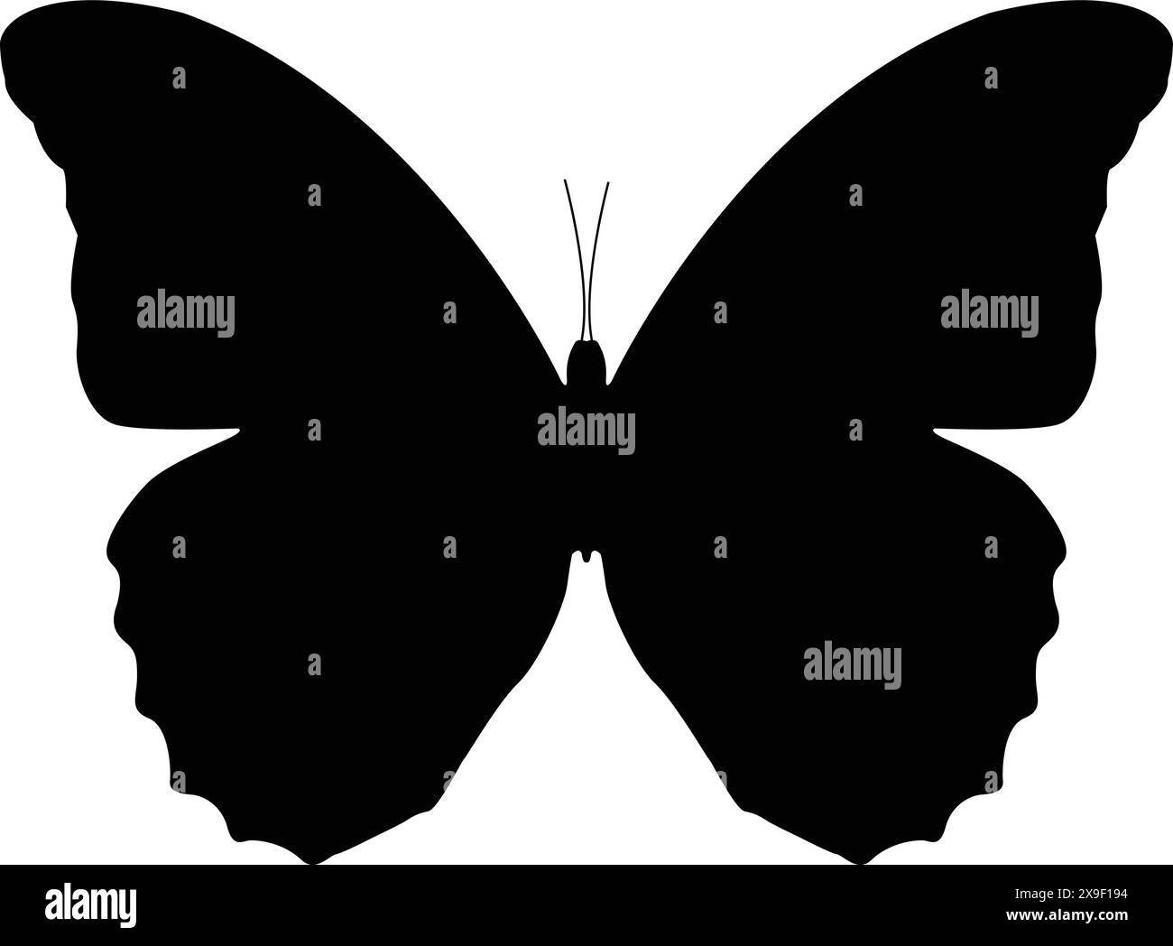 vecteur d'icône de papillon, silhouette de papillon, symbole de beauté d'insecte Illustration de Vecteur