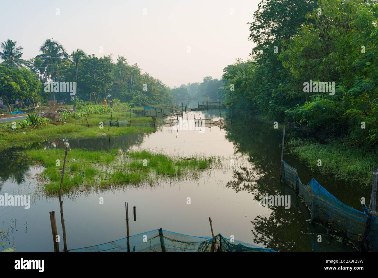 Les rizières, les canaux d'eau et les lacs sont visibles dans le paysage des Sundarbans indiens, la plus grande forêt de mangroves du monde. rura immaculée Banque D'Images