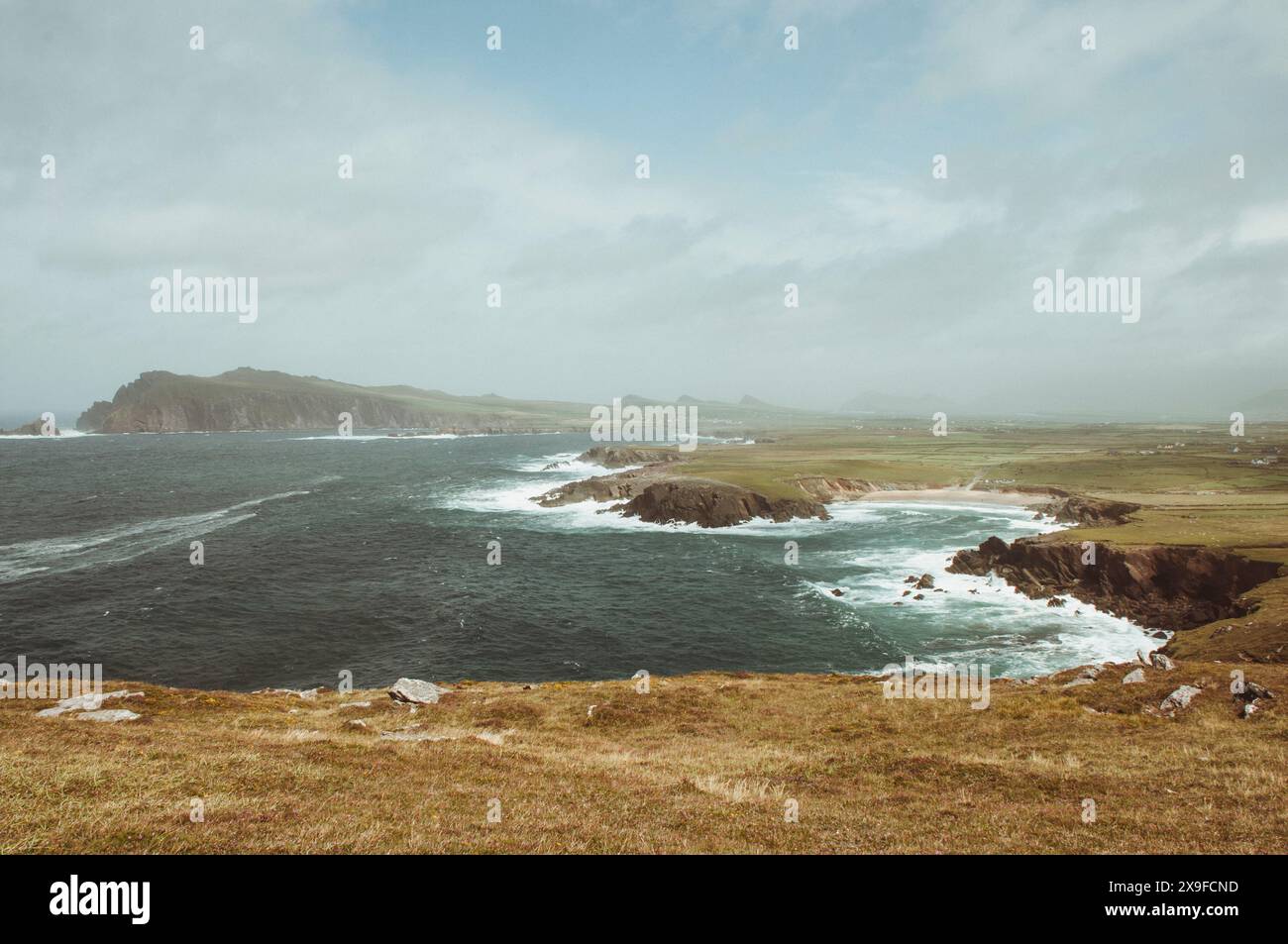 Falaises côtières, Slea Head Drive sur la Wild Atlantic Way, péninsule de Dingle, comté de Kerry, Irlande Banque D'Images