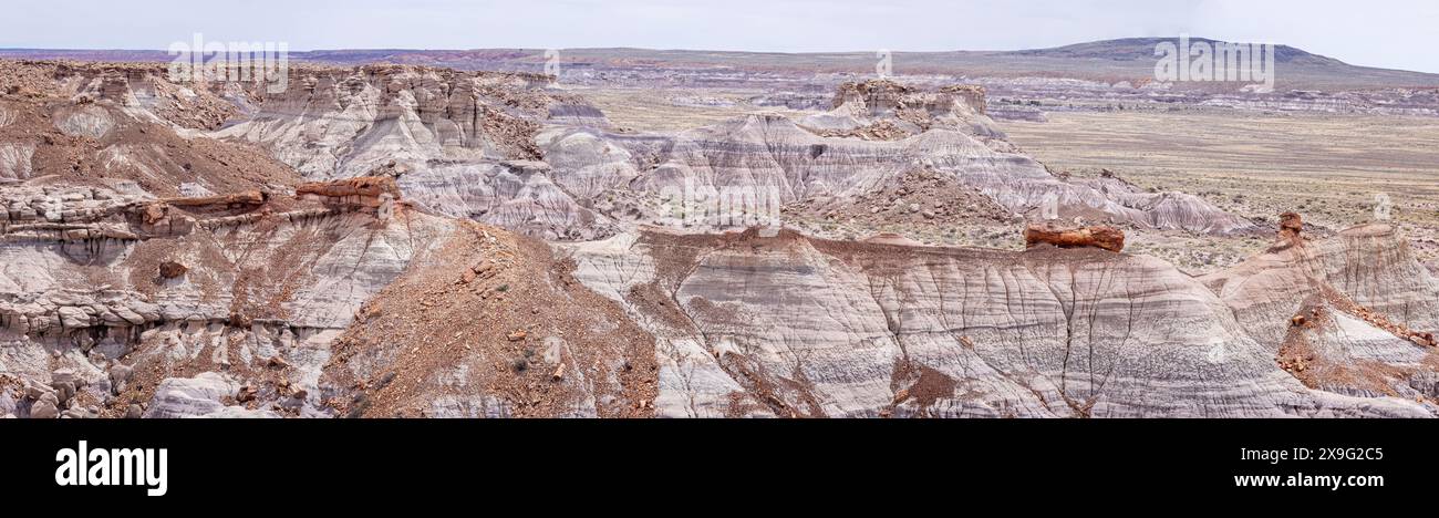 De grands troncs d'arbres pétrifiés échoués au sommet d'une colline bleue mesa alomg le sentier Blue Mesa dans le parc national Petrified Forest, Arizona, USA sur 17 A. Banque D'Images