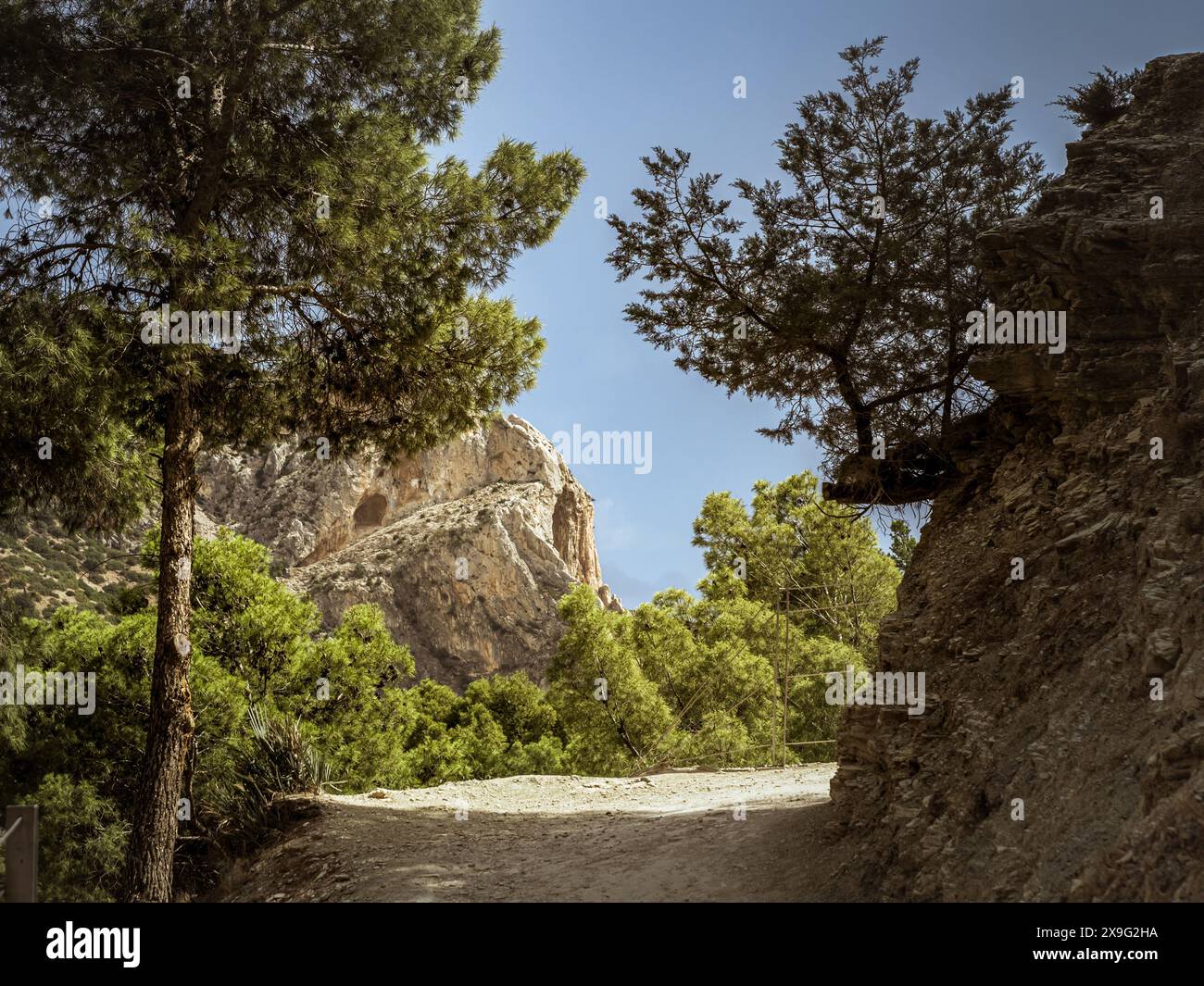 Sud espagnol, chemin de paysage andalou pendant l'été sur le El Caminito del Rey, pins en pierre à côté du chemin de terre Banque D'Images