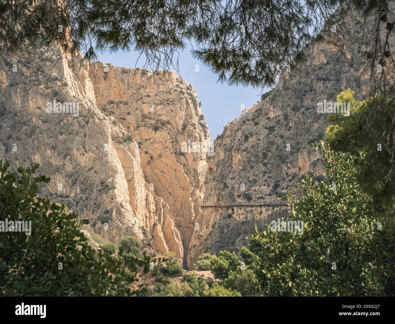 Vue lointaine sur la passerelle et le pont en belle lumière sur le El Caminito del Rey dans la zone ouverte entre les canyons de la rivière Guadalhorce en Banque D'Images