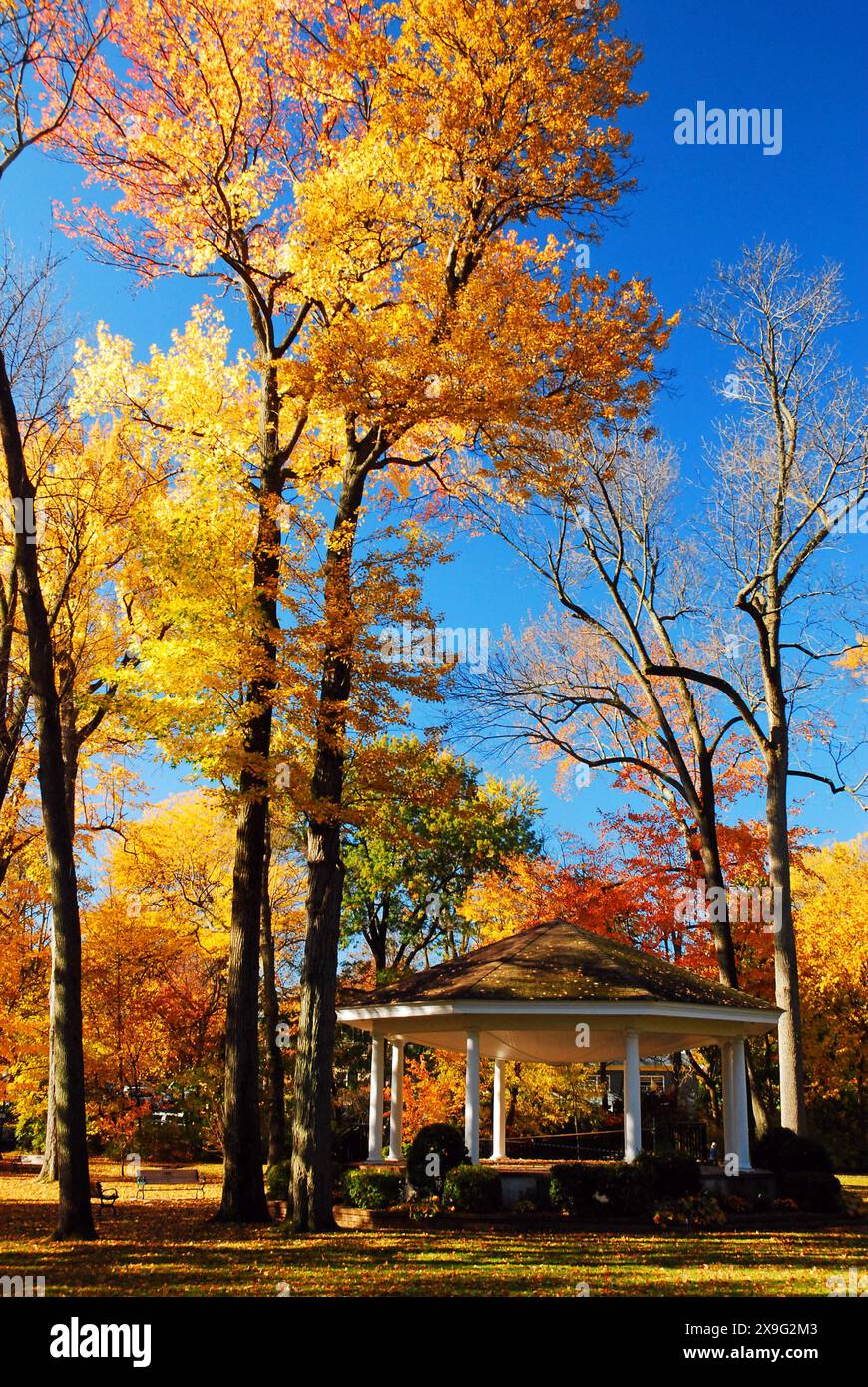 Un belvédère est entouré de feuillage d'automne coloré et laisse un jour d'automne ensoleillé dans un parc Banque D'Images