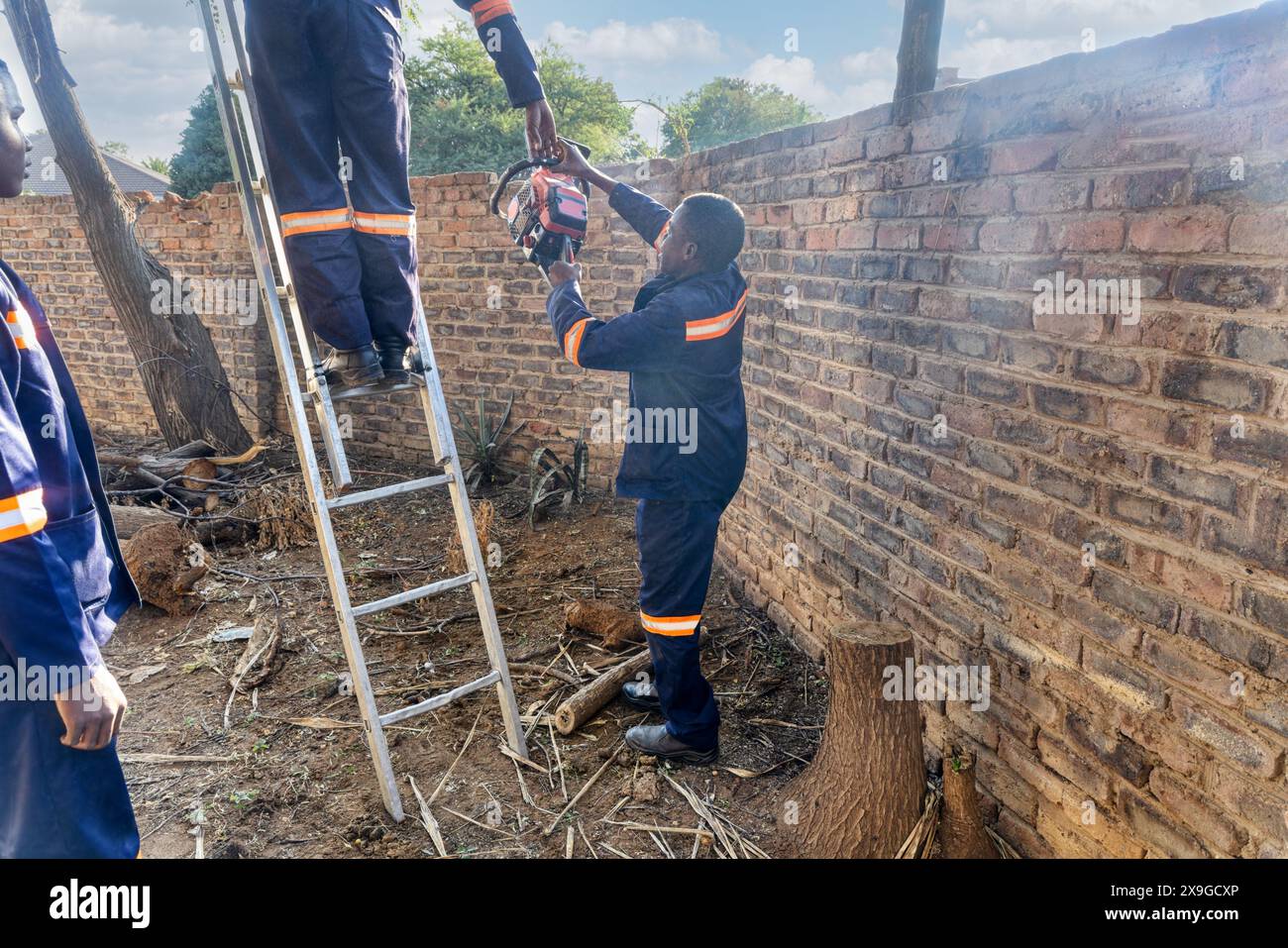 deux ouvriers africains avec une tronçonneuse taillant les arbres dans la zone résidentielle du jardin Banque D'Images