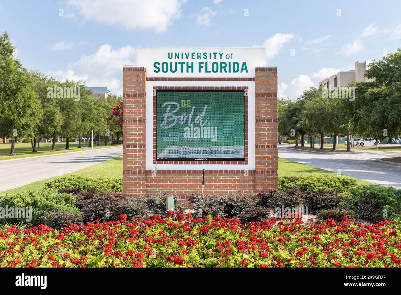 L'Université de Floride du Sud est une université de recherche publique avec son campus principal à Tampa, Floride. Leur mascotte est les Bulls. Banque D'Images