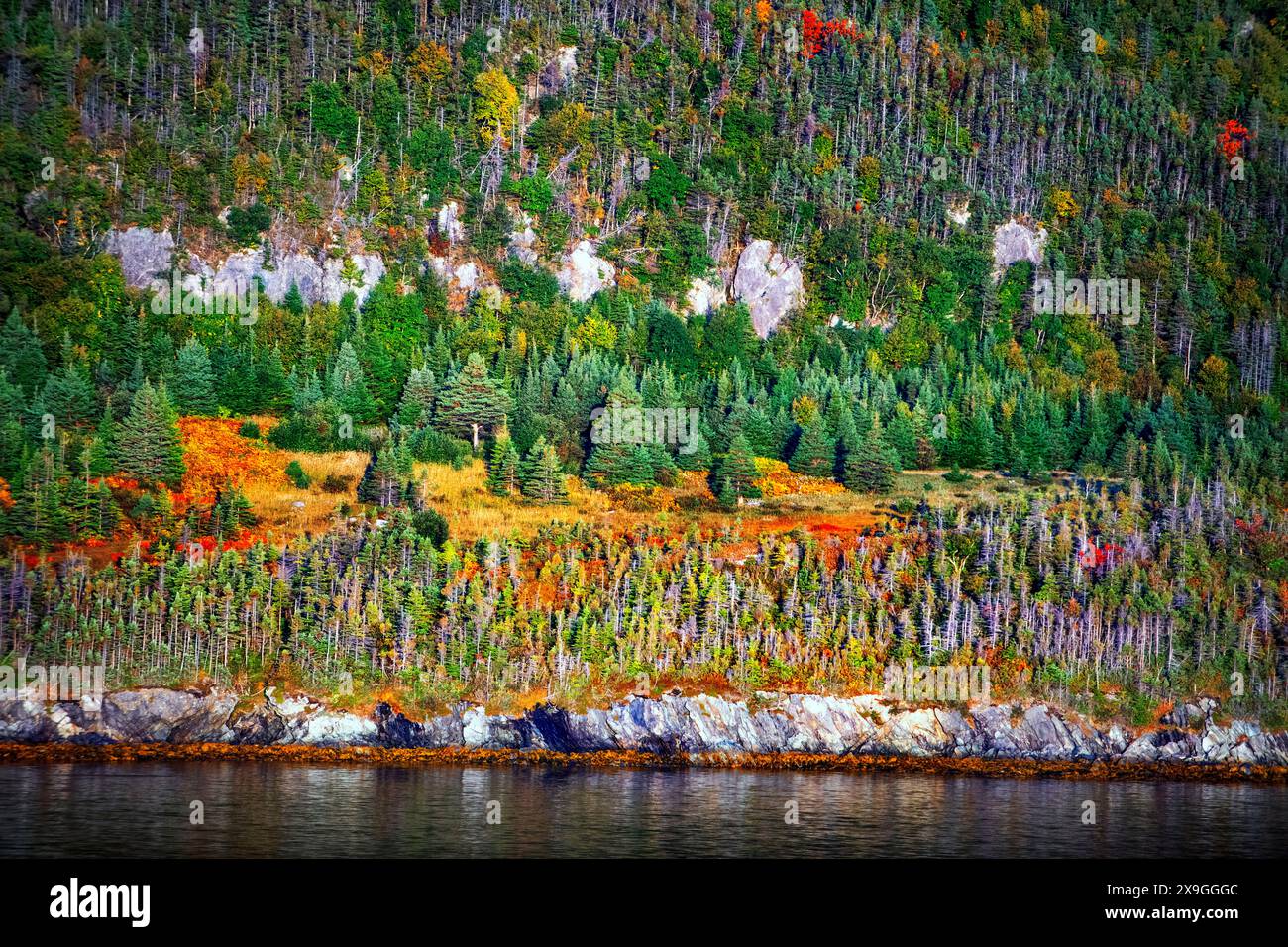Montagnes Norris point en automne, bonne Bay et Woody point vues du point de vue de la maison Jenniex dans le parc national du gros-Morne, Terre-Neuve & Banque D'Images