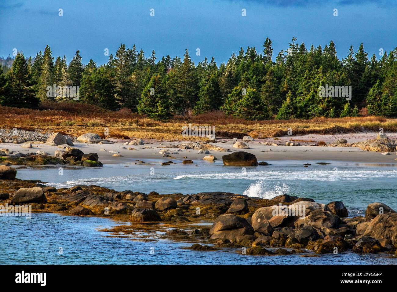 Kejimkujik Nationalpark Coast Waterfront, Kejimkujik Seaside Nationalpark, Nouvelle-Écosse, Canada Banque D'Images