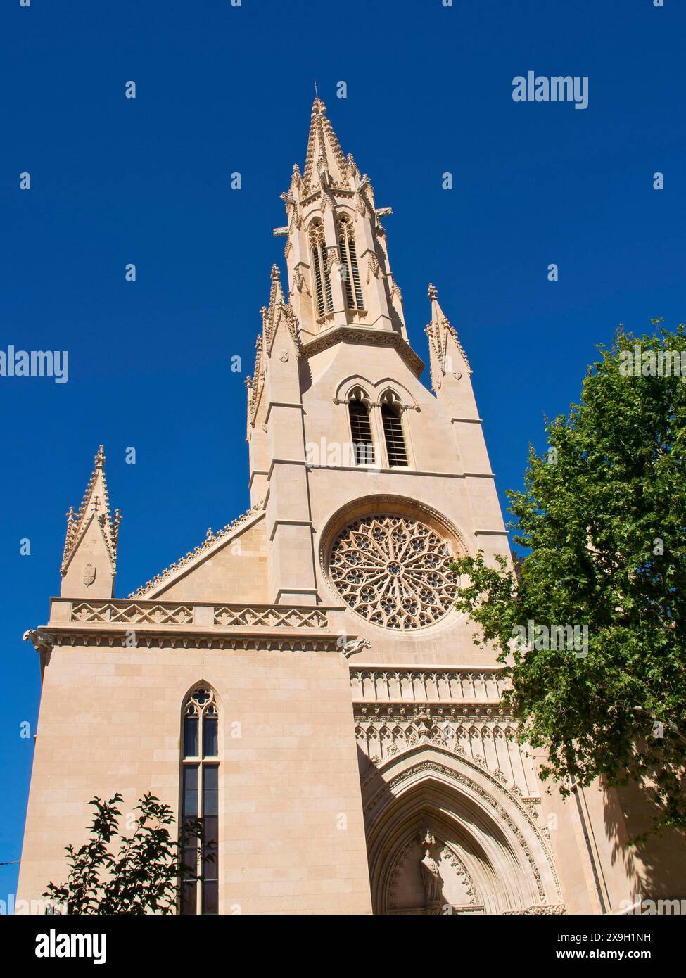 Façade gothique de l'église avec rosace détaillée devant un ciel bleu vif, palma de Majorque avec ses maisons historiques, la grande cathédrale et Banque D'Images