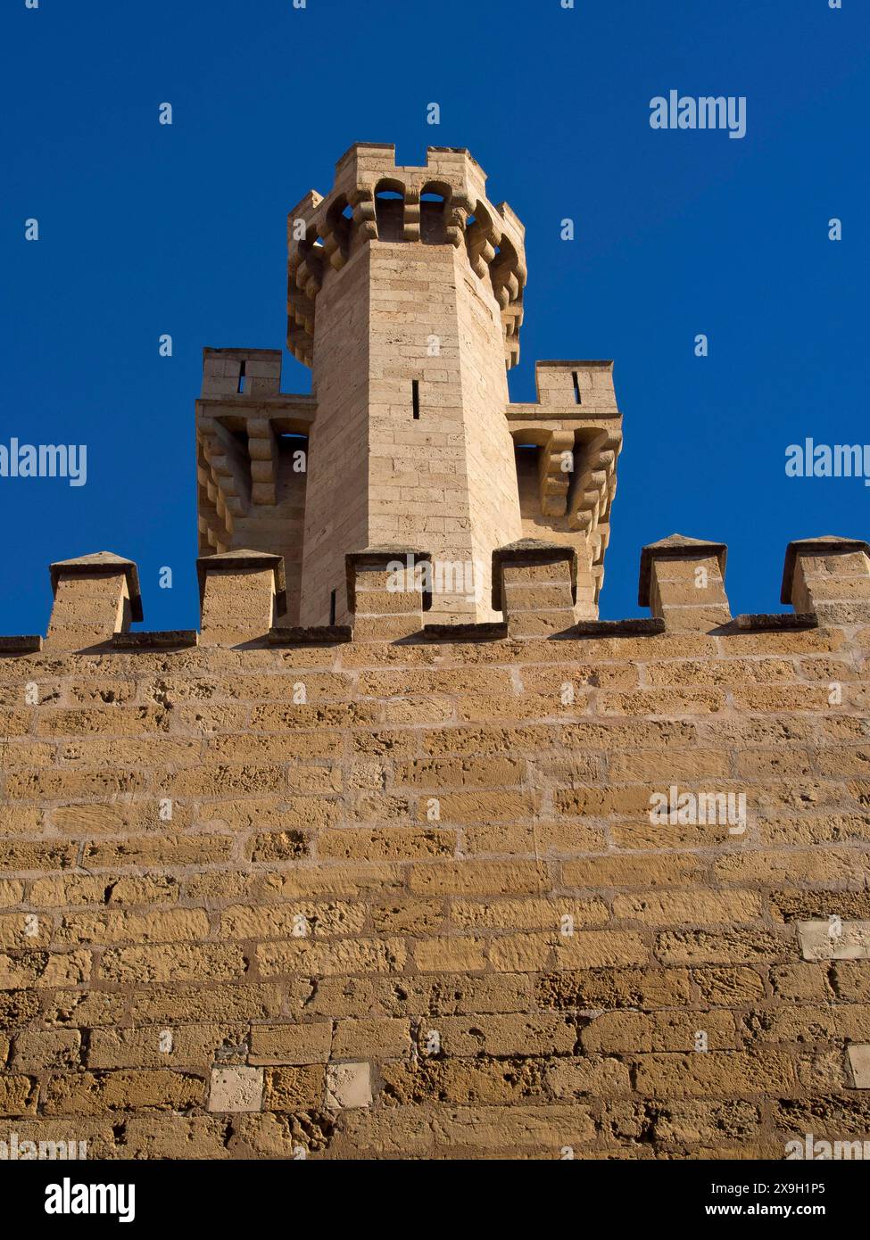 Tour médiévale du château avec des remparts devant un ciel bleu clair, palma de Majorque avec ses maisons historiques, la grande cathédrale et des fleurs Banque D'Images