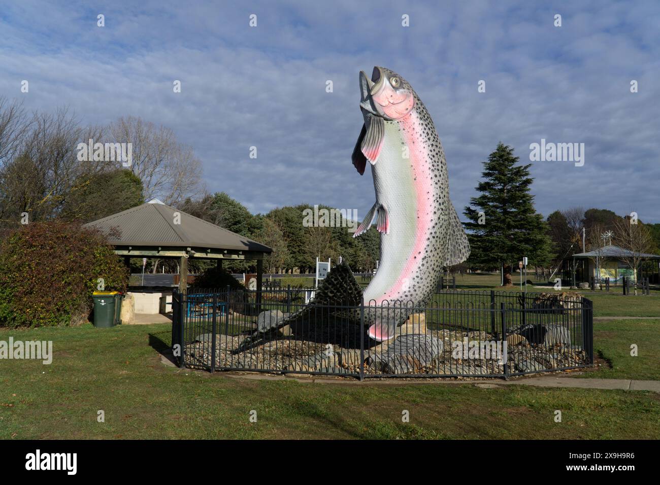 Adaminaby, Nouvelle-Galles du Sud, Australie, 1st Jume, 2024, le modèle repeint représentant Oncorhynchus mykiss ou truite arc-en-ciel qui saute hors de l'eau. Banque D'Images