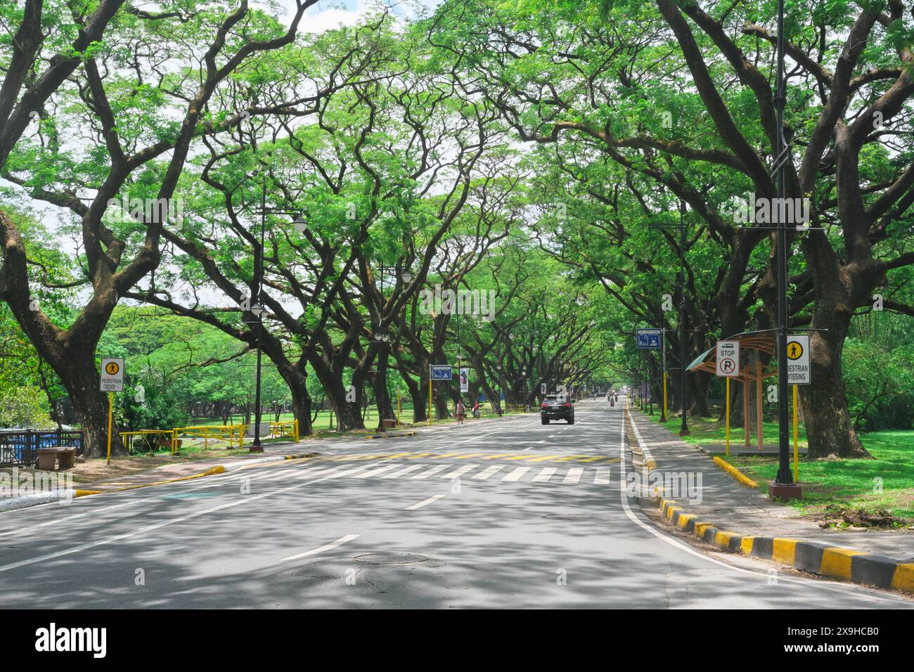 Quezon City, Philippines - 31 mai 2024 : L'ovale UP Diliman bordé d'arbres verdoyants à l'intérieur de l'Université des Philippines Banque D'Images