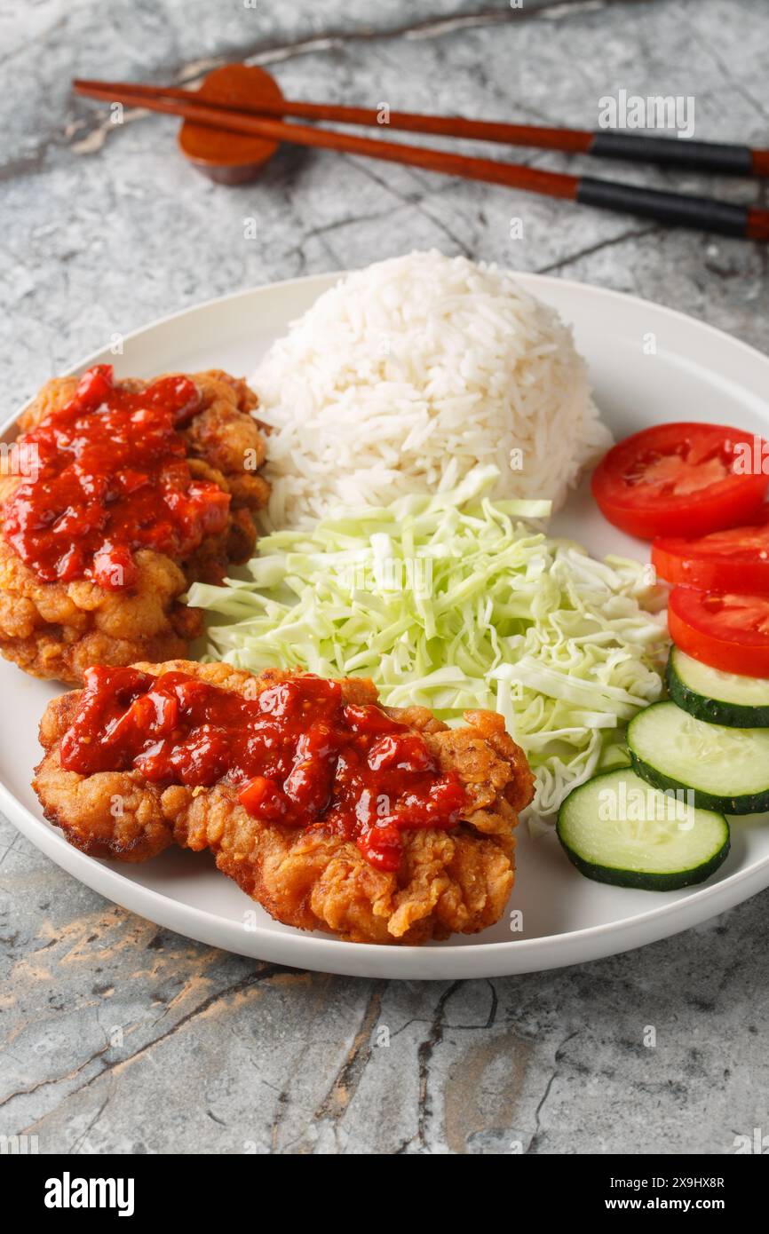 Poulet mariné Ayam geprek pilé, frit et fini avec un sambal épicé servi avec du riz blanc, du concombre, de la tomate et du chou en gros plan Banque D'Images