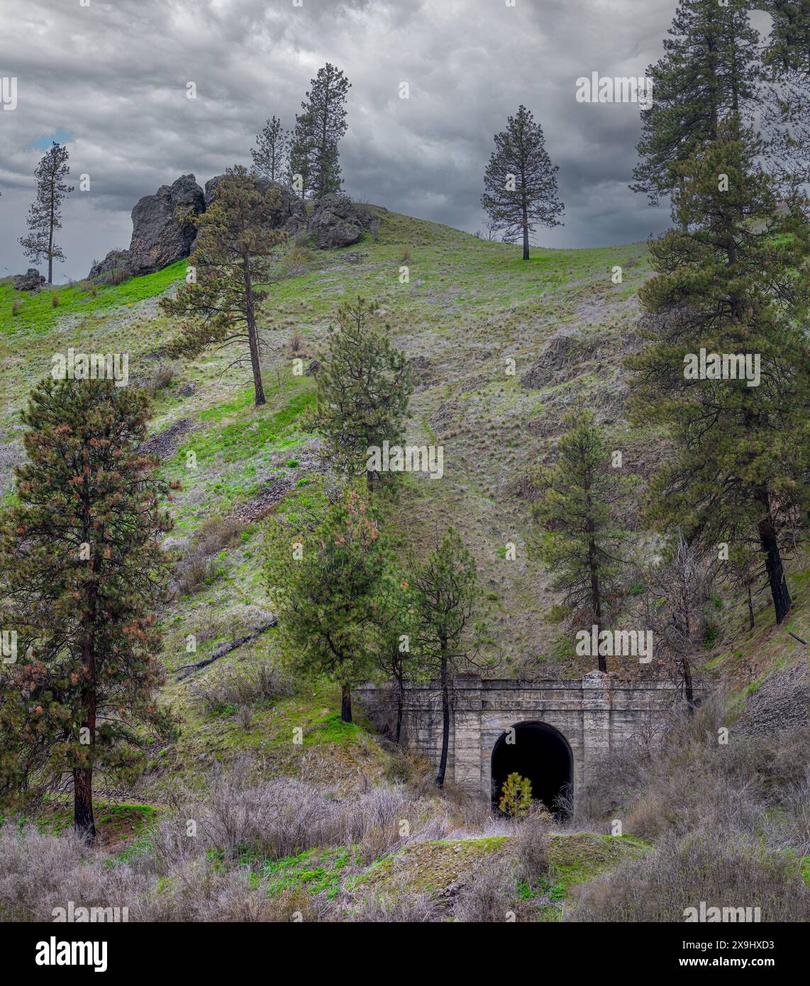 Old Railroad tunnel dans le Palouse, WA Banque D'Images