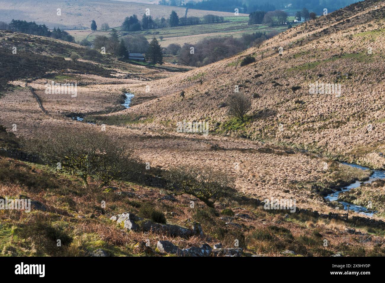 West Dart River traversant la lande Banque D'Images