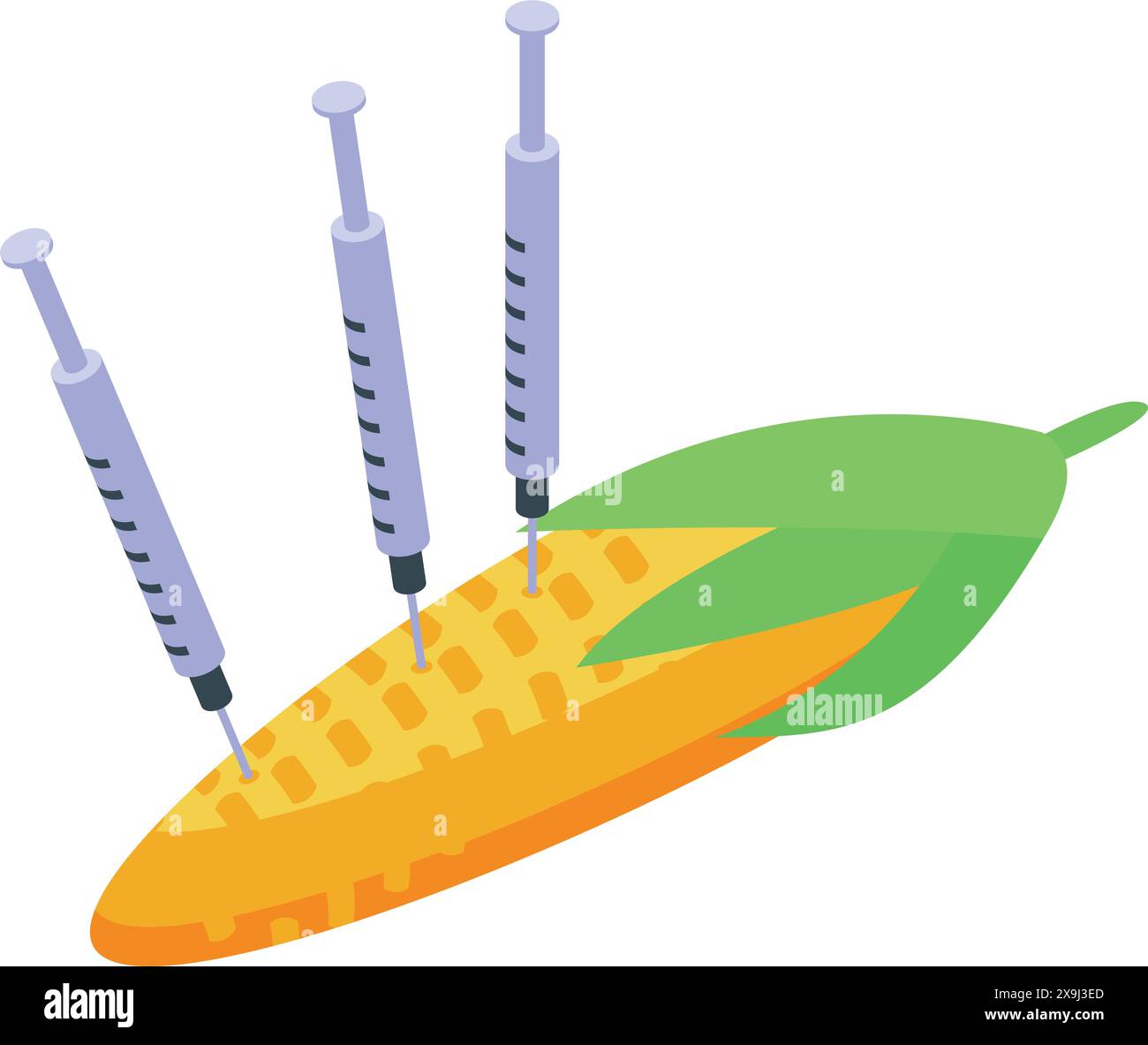 Vecteur isométrique d'un épi de maïs avec seringues, représentant un aliment ogm Illustration de Vecteur