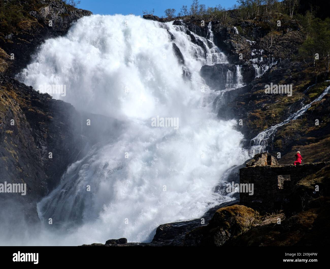 Huldra - un esprit de forêt aux cascades de Kjosfossen sur le chemin de fer Flam, Norvège. L'esprit attire les hommes dans le désert Banque D'Images