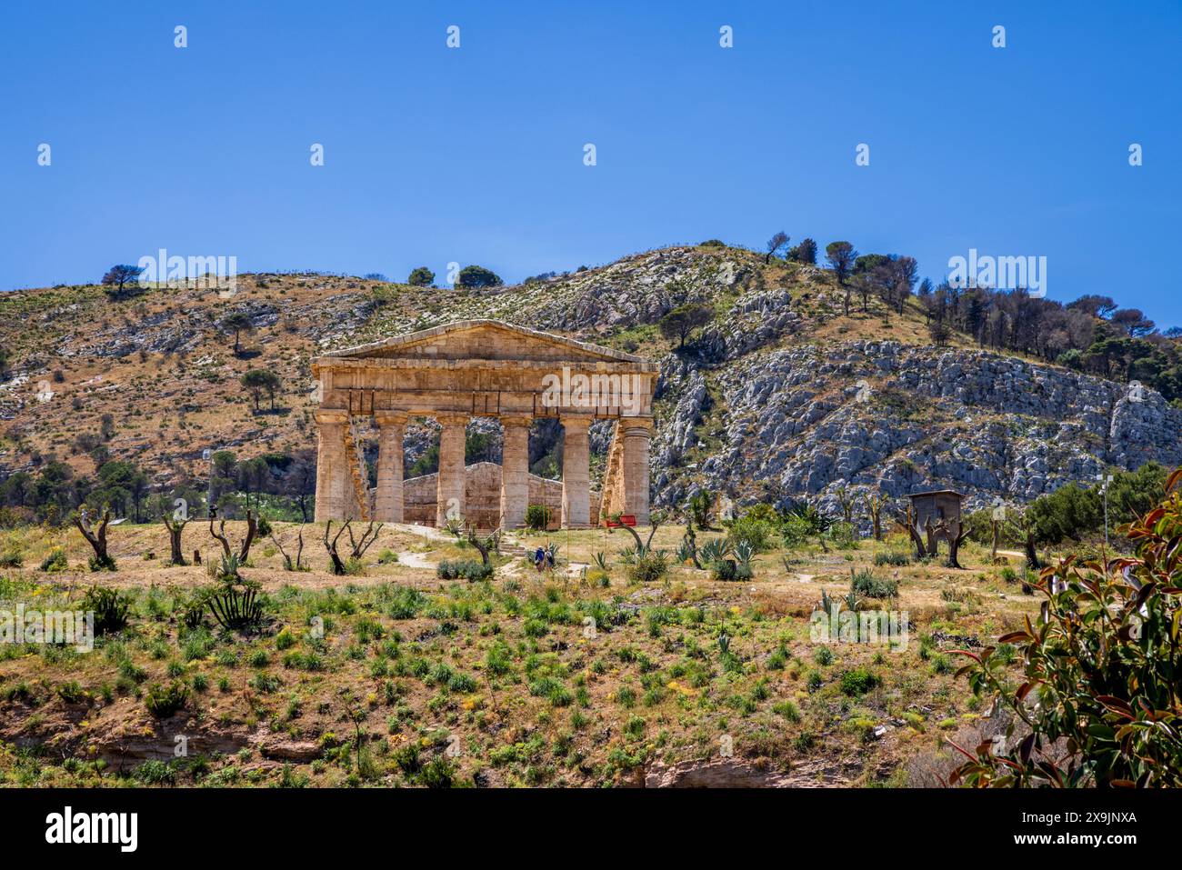 L'ancien temple dorique à Segesta, Sicile Banque D'Images