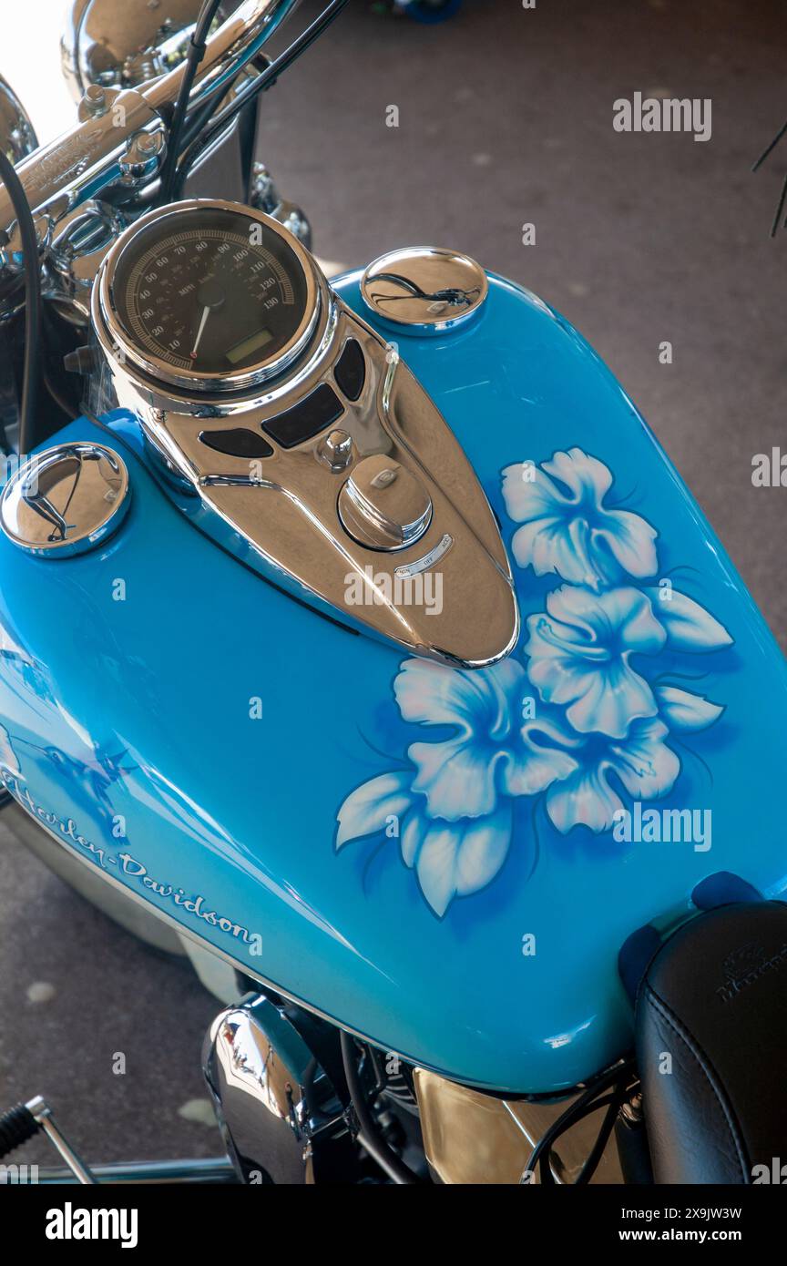 Harley davidson motorcycle custom paint Banque de photographies et d ...