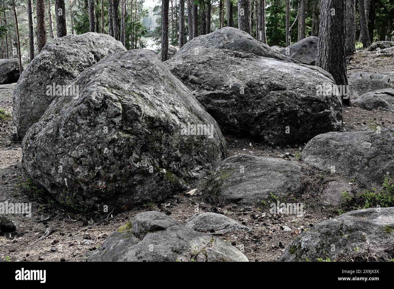 Gros rochers de pierres dans une forêt profonde en Finlande Banque D'Images