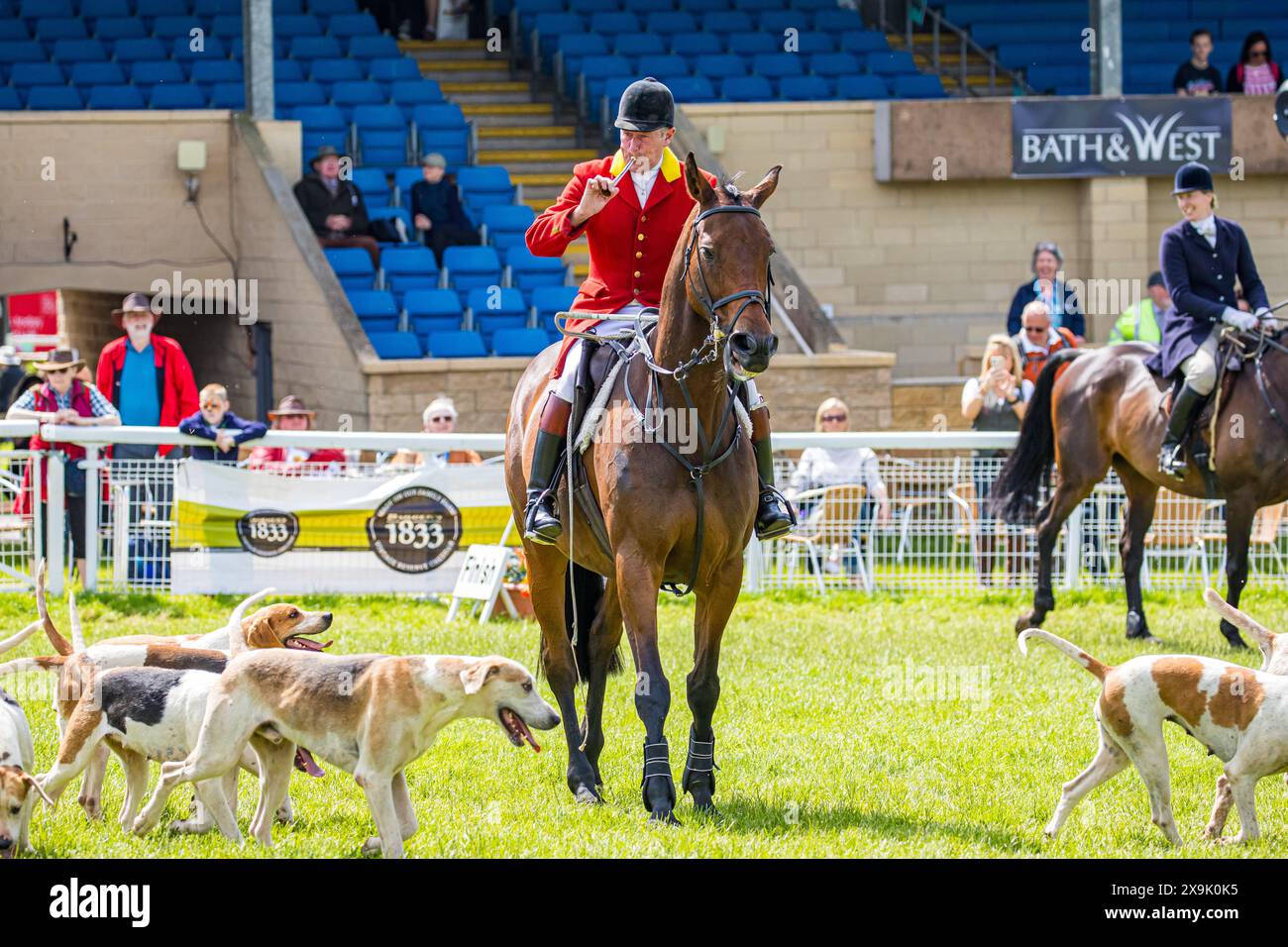 SHEPTON MALLET, SOMERSET, Royaume-Uni, 1er juin 2024, défilé d'une meute de chiens menée par le maître de chasse dans son rose chasse, au Royal Bath and West Show 2024. Crédit John Rose/Alamy Live News Banque D'Images