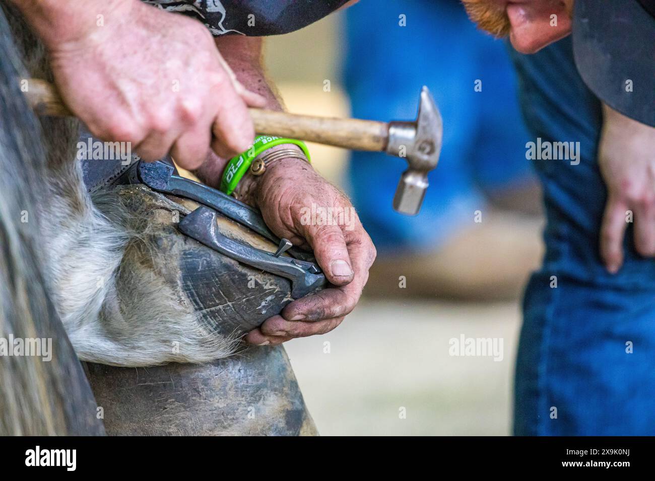 SHEPTON MALLET, SOMERSET, ROYAUME-UNI. Le 1er juin 2024, gros plan et plans détaillés des farriers fabriquant des fers à cheval dans des forges et les adaptant aux chevaux de la classe apprentie ferrant au Royal Bath and West Show 2024. Crédit John Rose/Alamy Live News Banque D'Images