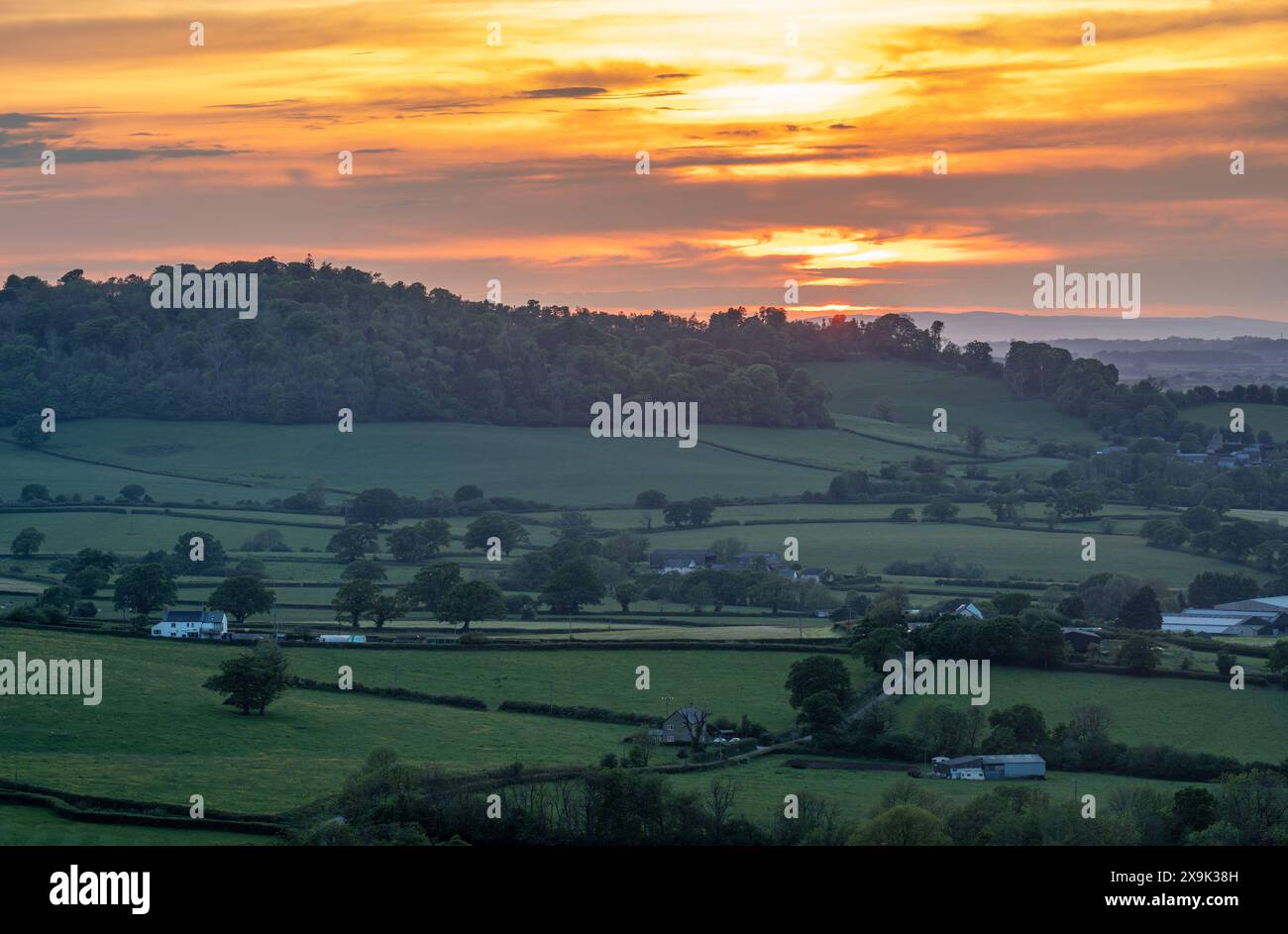 Campagne du Dorset au coucher du soleil, vue sur la colline du paysage rural à proximité de Batcombe et Hilfield Banque D'Images