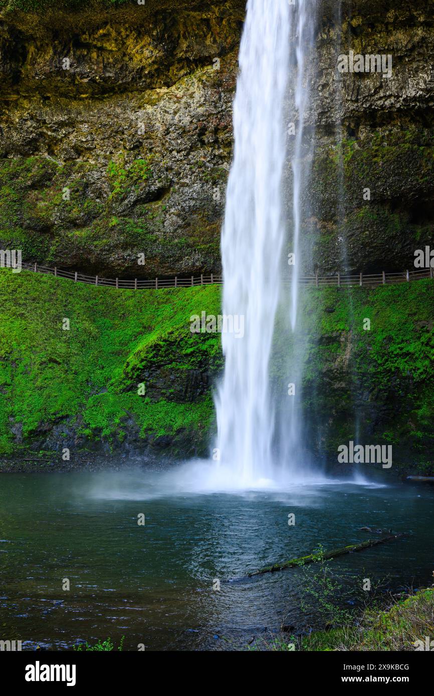 Chute d'eau de South Falls avec chemin derrière au Silver Falls State Park Oregon tombant dans l'écoulement régulier de l'eau Banque D'Images