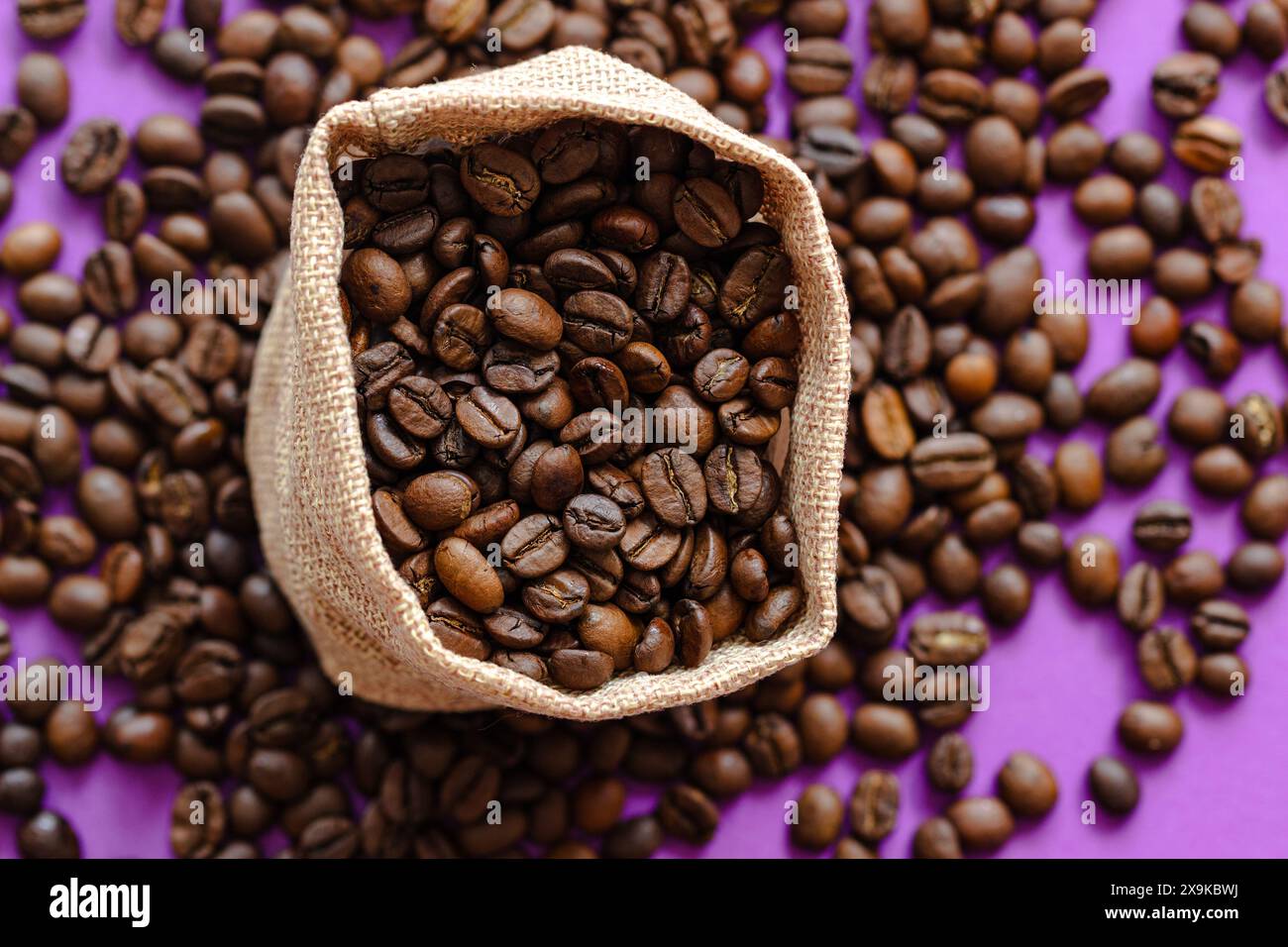 grains de café sur le fond violet avec une place pour l'inscription, grains dans un sac en toile de jute Banque D'Images