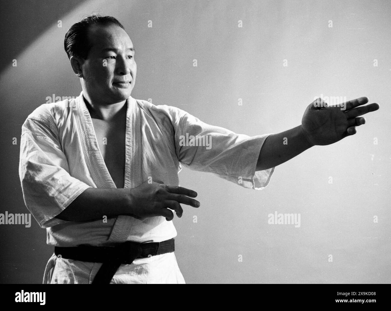 T-Shirt Kyokushin Carats - Karaté Kyokushinkai - Hommage à