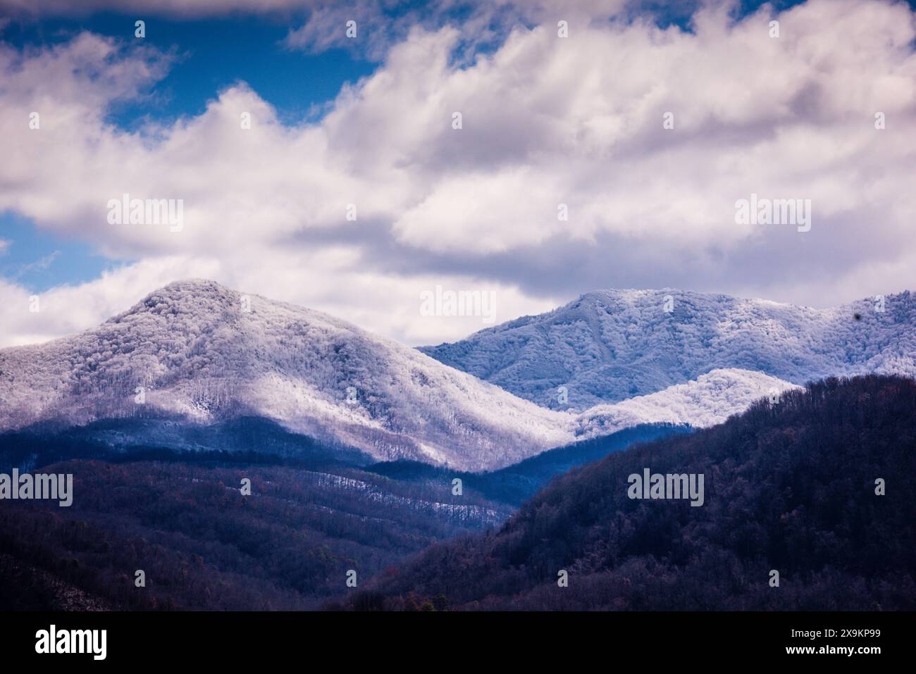 Les Great Smoky Mountains sont une chaîne montagneuse s'élevant le long de la frontière entre le Tennessee et la Caroline du Nord dans le sud-est des États-Unis. Ils sont une sous-gamme Banque D'Images