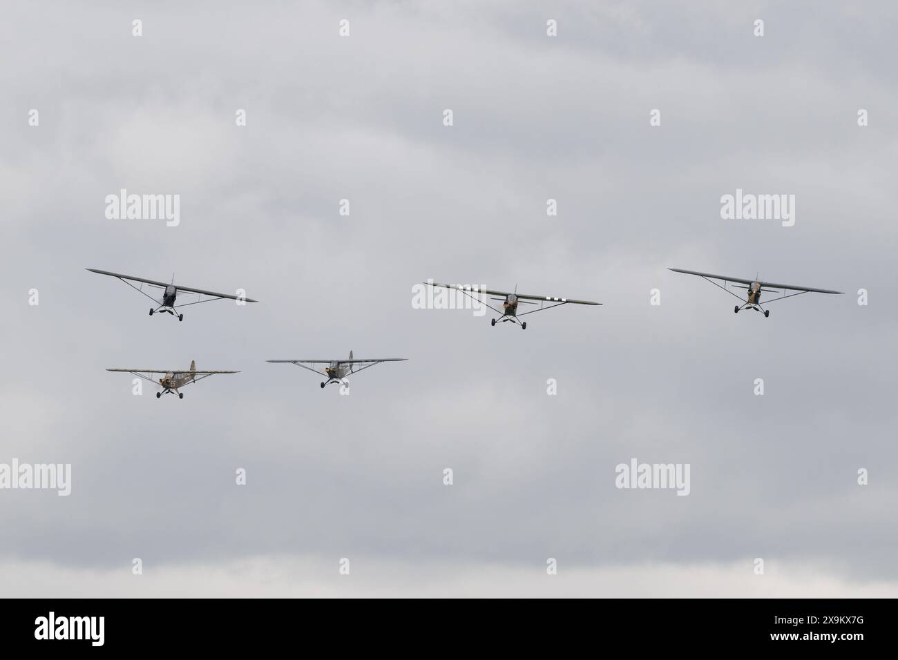 Five Piper L4 Grasshopper display, lors du Duxford Summer Air Show : d-Day 80 à IWM Duxford, Duxford, Royaume-Uni, 1er juin 2024 (photo de Cody Froggatt/News images) Banque D'Images