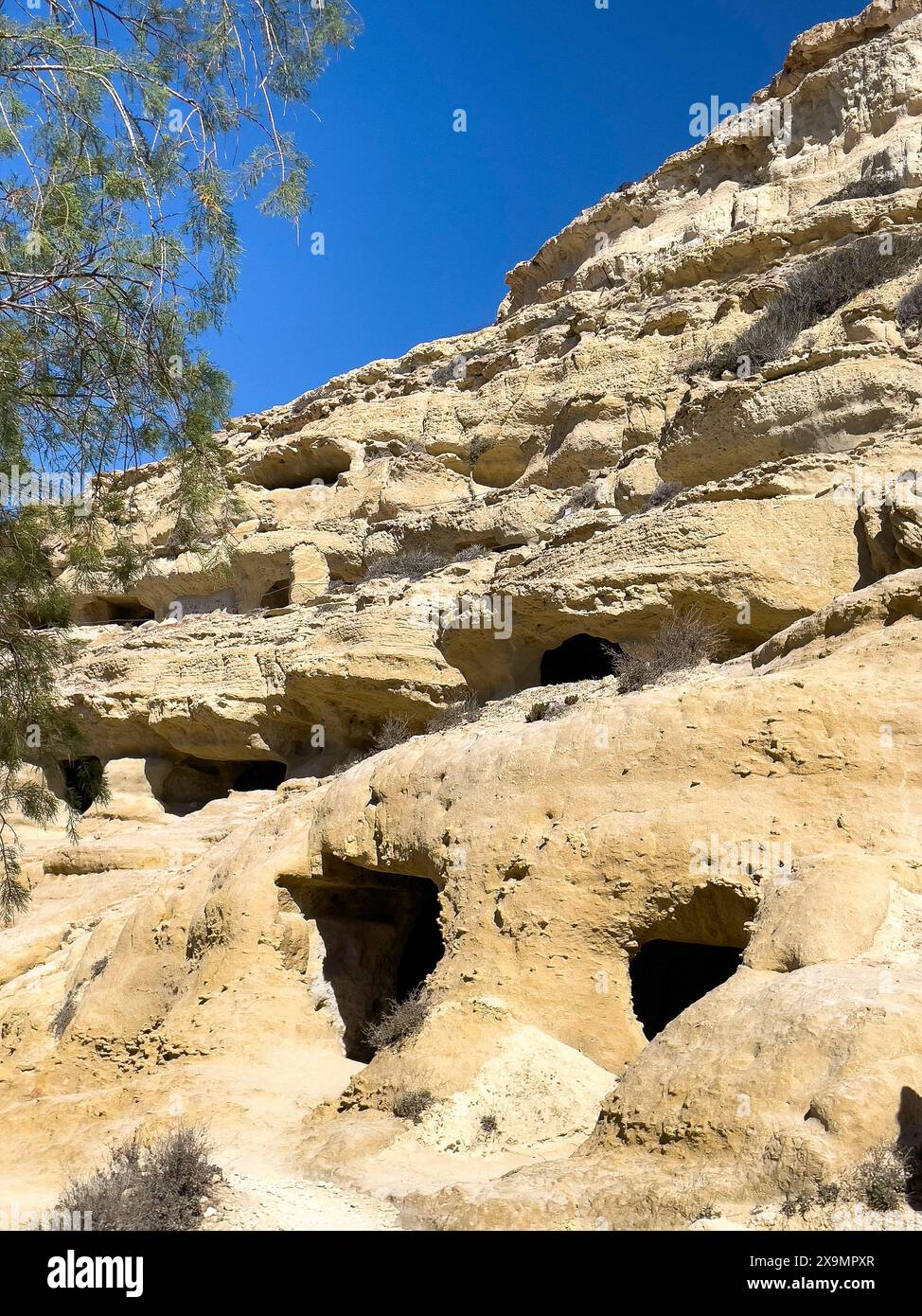 Vue vers le haut des rochers de grès au bord de la baie de Matala avec des entrées aux grottes de l'ancienne nécropole romaine plus tard des grottes vivantes pour les hippies abandonnant Banque D'Images