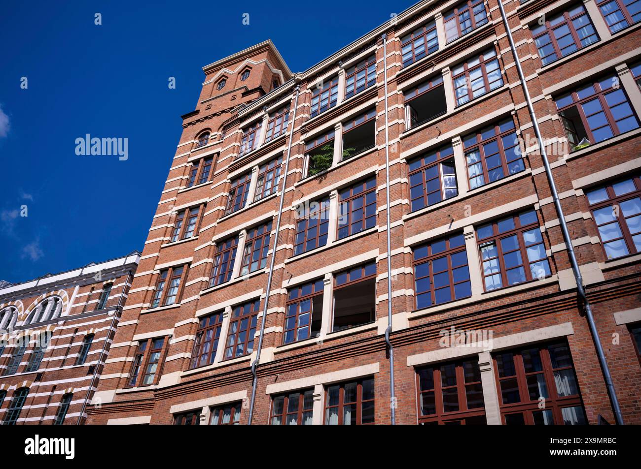 Haus Plagwitz, Buntgarnwerke, ancien complexe industriel transformé en espace de vie, appartements, bâtiments culturels, Leipzig, Saxe, Allemagne Banque D'Images