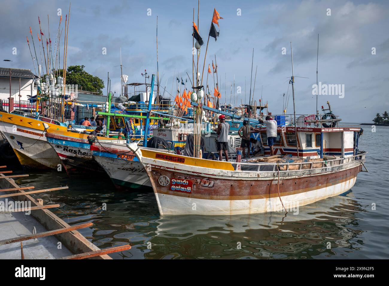 Les chalutiers de pêche en haute mer ont accosté au marché aux poissons de Negombo, sur la côte ouest du Sri Lanka. Banque D'Images