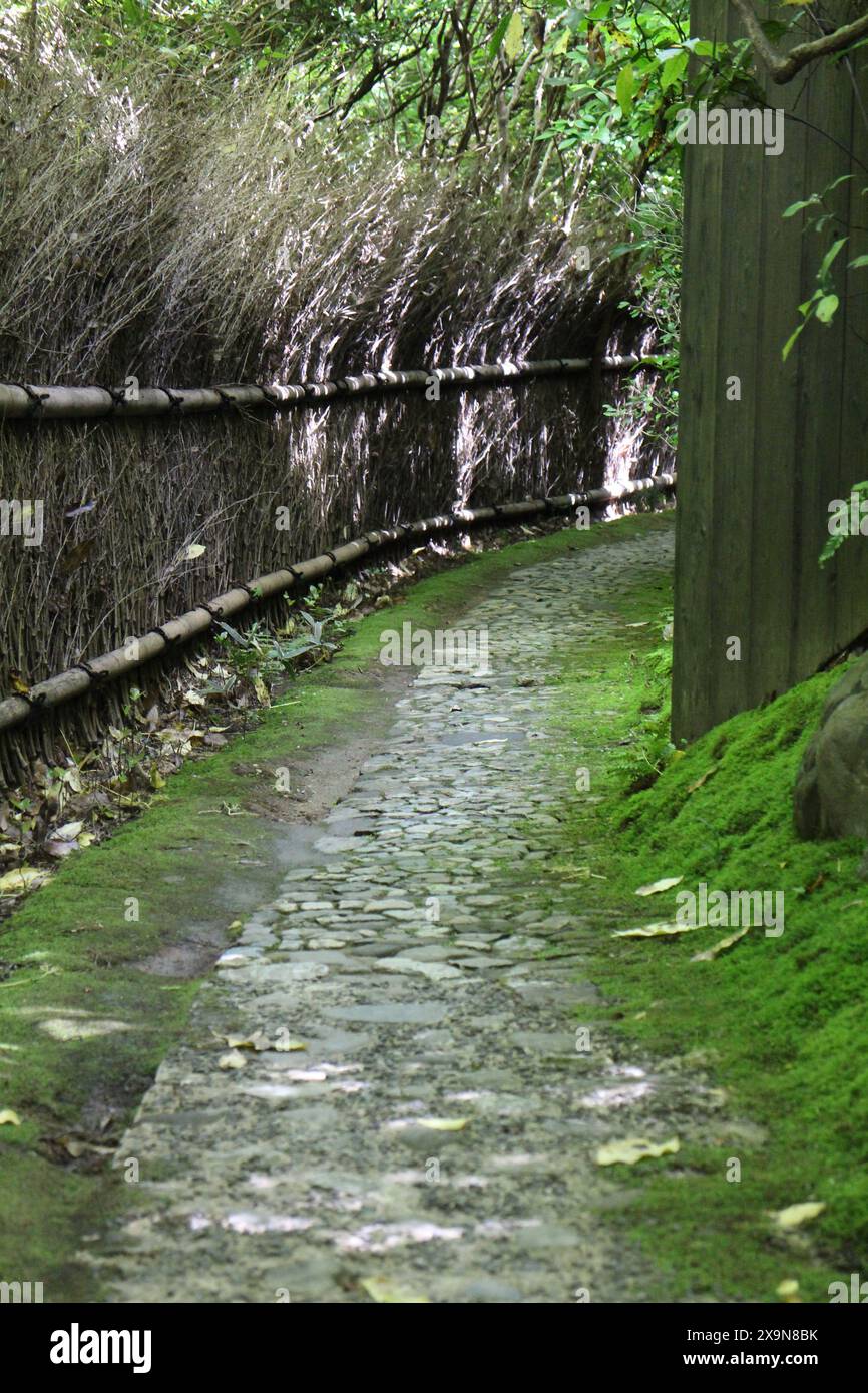Vert frais et un chemin dans le jardin Okochi-sanso, Kyoto, Japon Banque D'Images