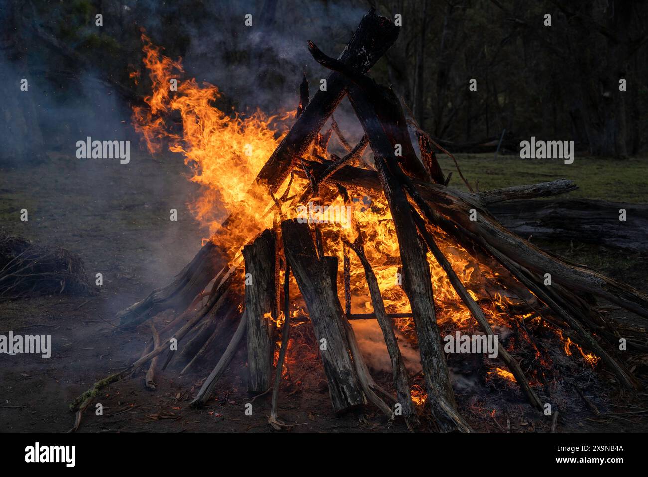 Feu de camp extérieur feu de camp, arbres brûlants la nuit. Grande flamme orange isolée sur fond noir Banque D'Images