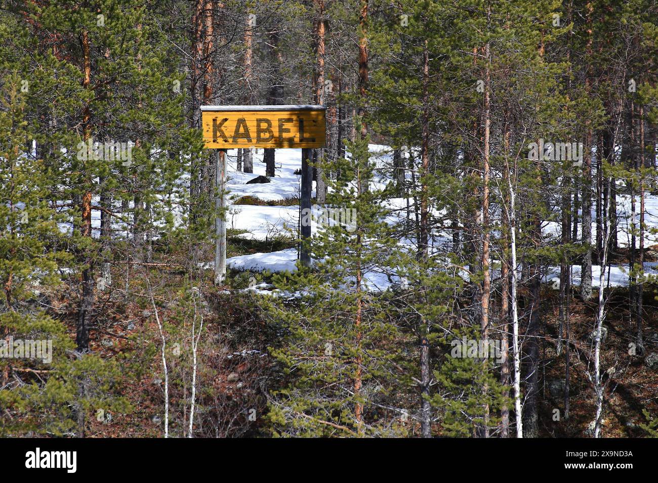 Panneau en bois dans la forêt avec le mot suédois Kabel (câble) écrit dessus. Banque D'Images