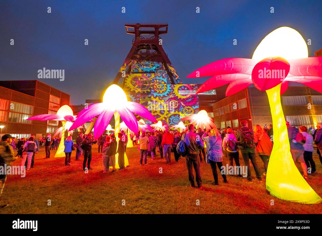 Extraschicht, die lange Nacht der Industriekultur, Kulturfest quer durch das Ruhrgebiet, 35 Spielorte in 19 Städten, hier Leuchtende Blumen illumination an der Zeche Zollverein in Essen, Doppelbock Fördergerüst Schacht 12, NRW, Deutschland, Extraschicht Zollverein *** Extraschicht, la longue nuit de la culture industrielle, festival culturel dans la région de la Ruhr, 35 lieux dans 19 villes, ici illuminant les fleurs à la mine de charbon Zollverein à Essen, Doppelbock Pithead Winding Tower Shaft 12, NRW, Allemagne, Extraschicht Zollverein Banque D'Images