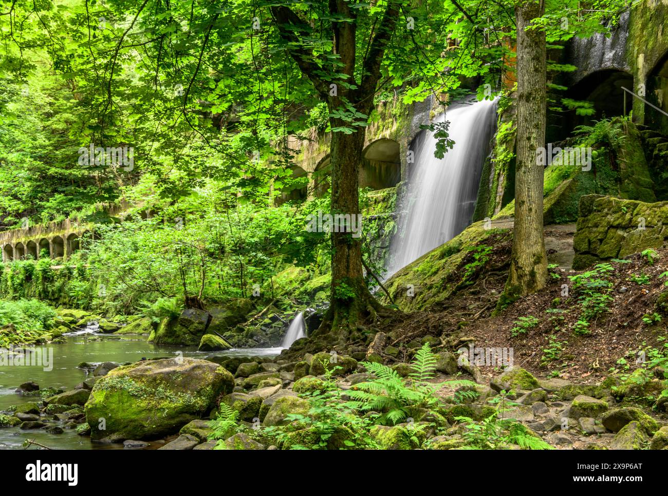 Lost place - centrale hydroélectrique de Niezelgrund, Wesenitztal Valley, Lohmen, Allemagne Banque D'Images